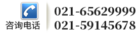 全國解決方案定制熱線"